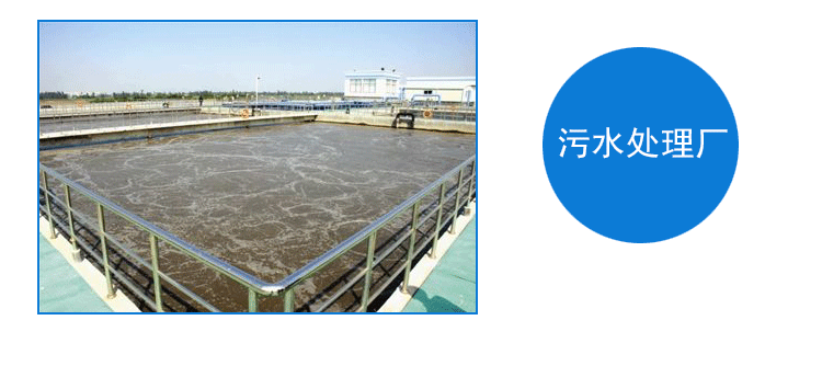 1559091695177377.jpg 2345_image_file_copy_4.jpg